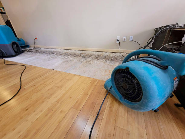 Professional Structural Drying technician working in Walls, MS